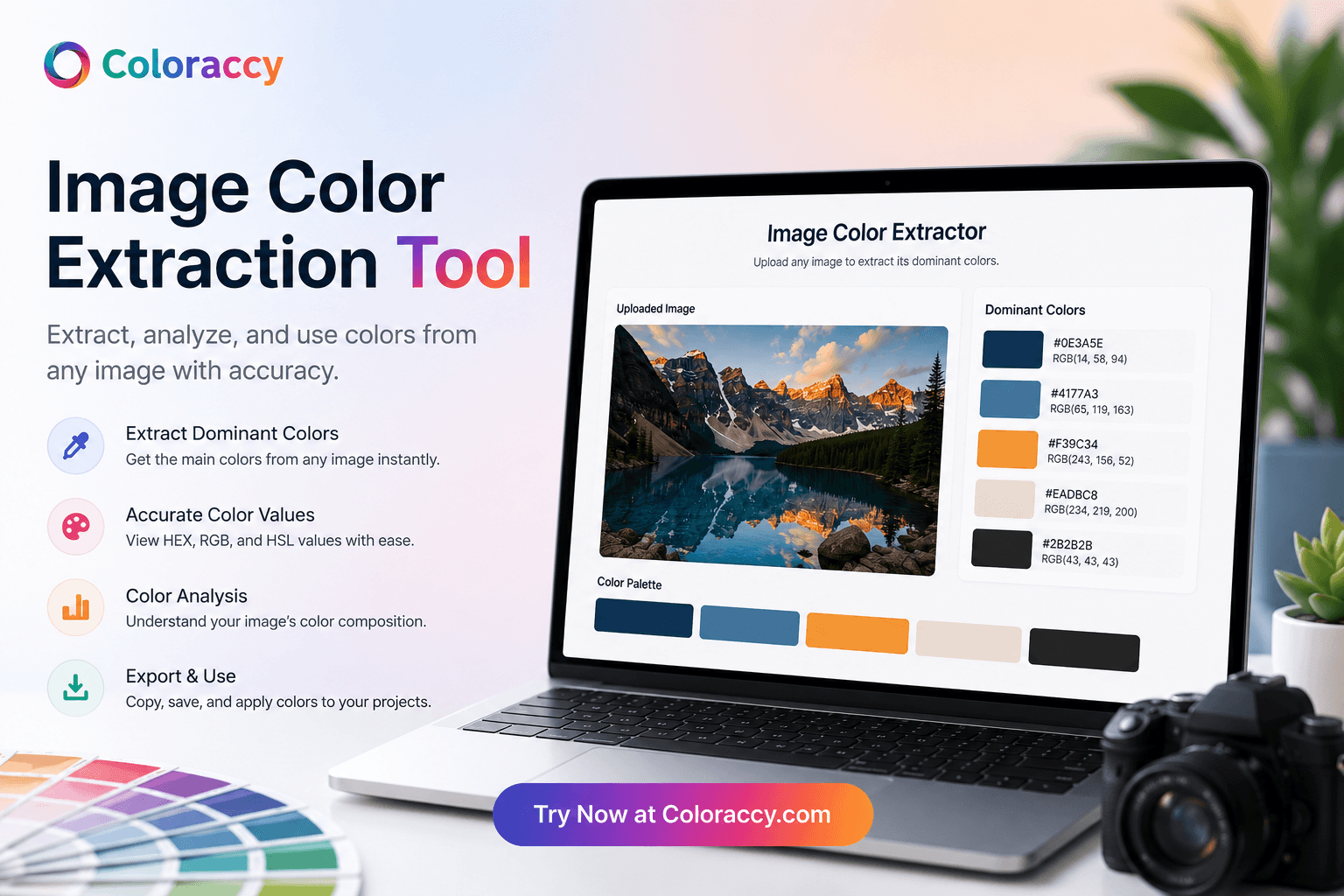 ColorAccy Image Color Extraction Tool interface showing dominant color extraction and palette generation from an uploaded image.
